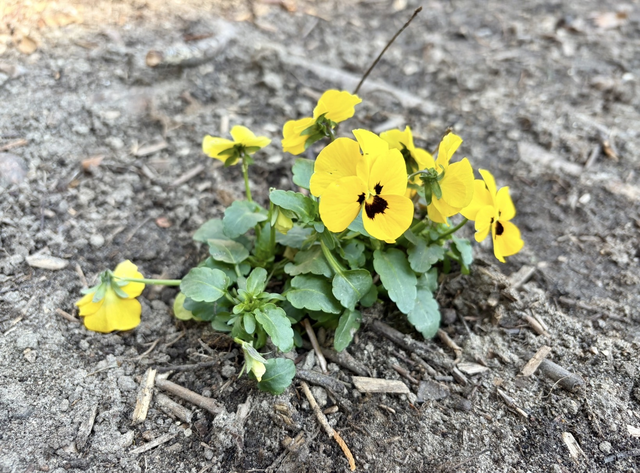 Frühling in unserer Kita
