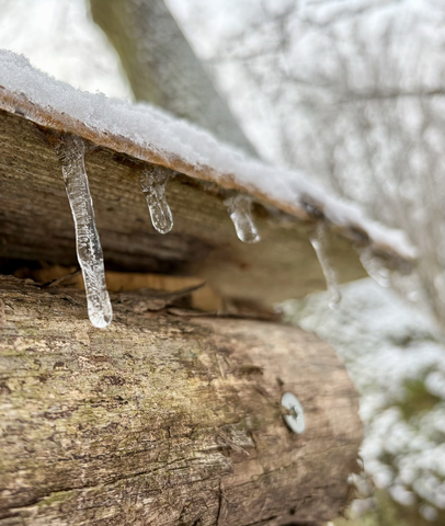 Hurra der Winter ist da!